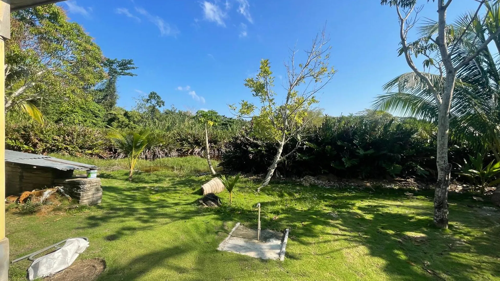 R&V Villa Negril